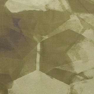 / Comb Arid