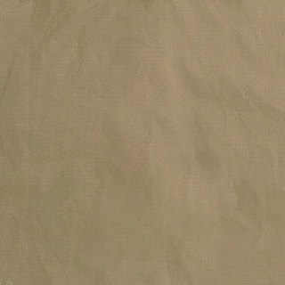 / Coyote