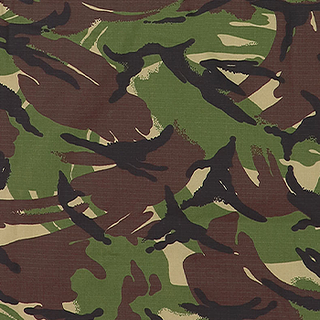 / DPM Woodland