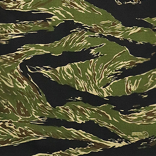 / Tiger Stripe
