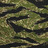 Tiger Stripe
