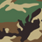 M81 Woodland
