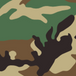 M81 Woodland