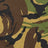 DPM Woodland