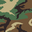 M81 Woodland